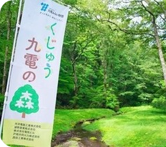 九州電力株式会社／九州林産株式会社／九電不動産株式会社 様